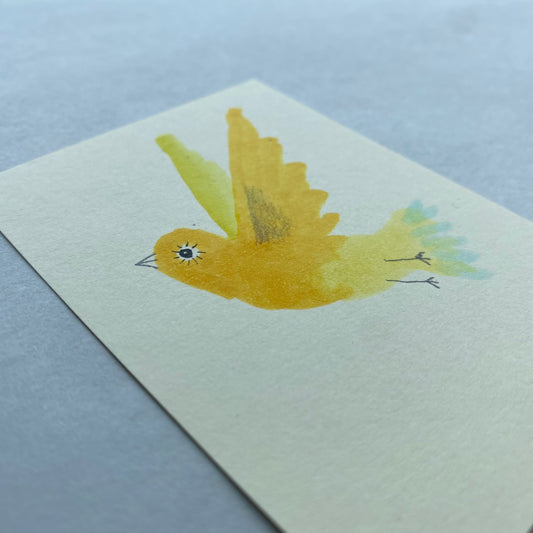 Bird #1