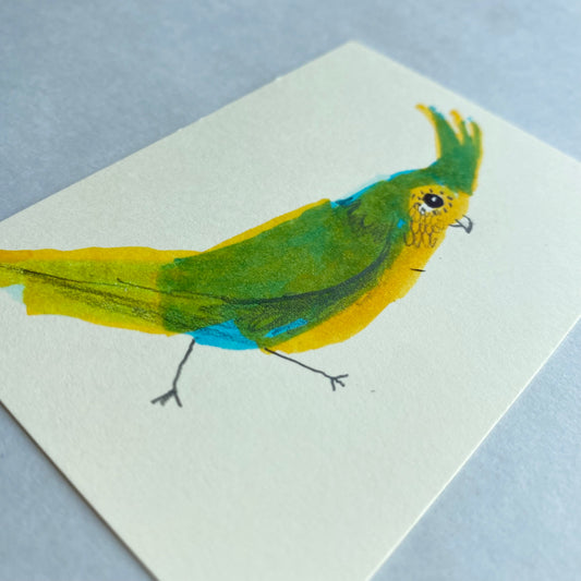 Bird #7